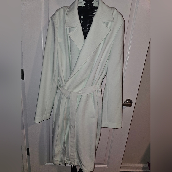 Ann Taylor Factory Trench Coat Jacket Mint Green XL - Picture 2 of 10